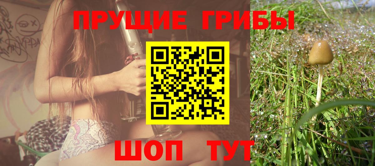 Галлюциногенные грибы ЛСД  Галлюциногенные грибы GOLDEN TEACHER  Вход с VPN  Пенза 
