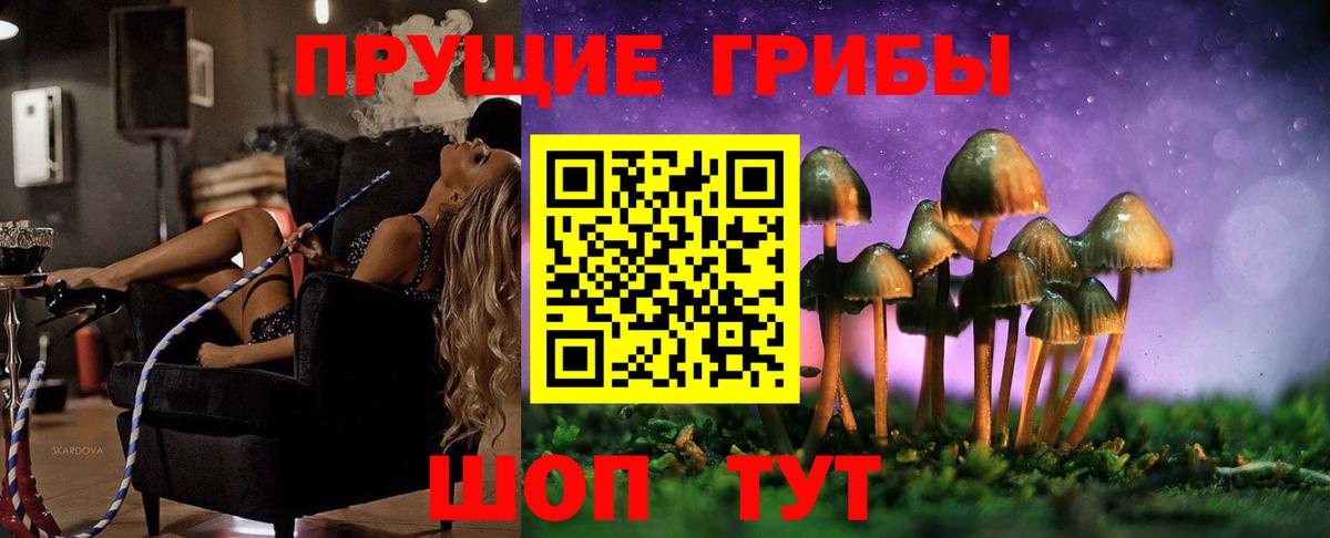 Псилоцибиновые грибы мицелий Пенза